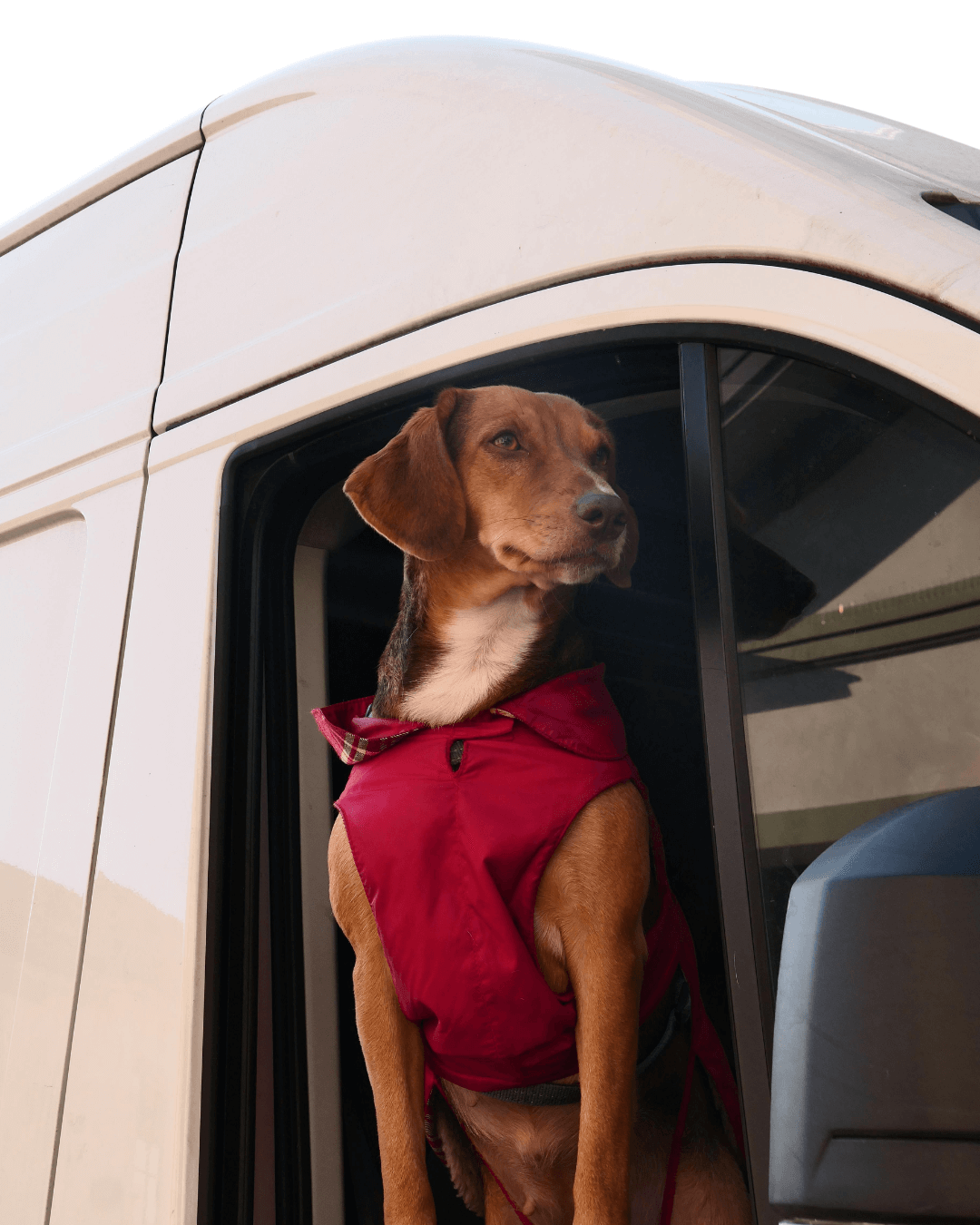 Razones para viajar en furgoneta camper